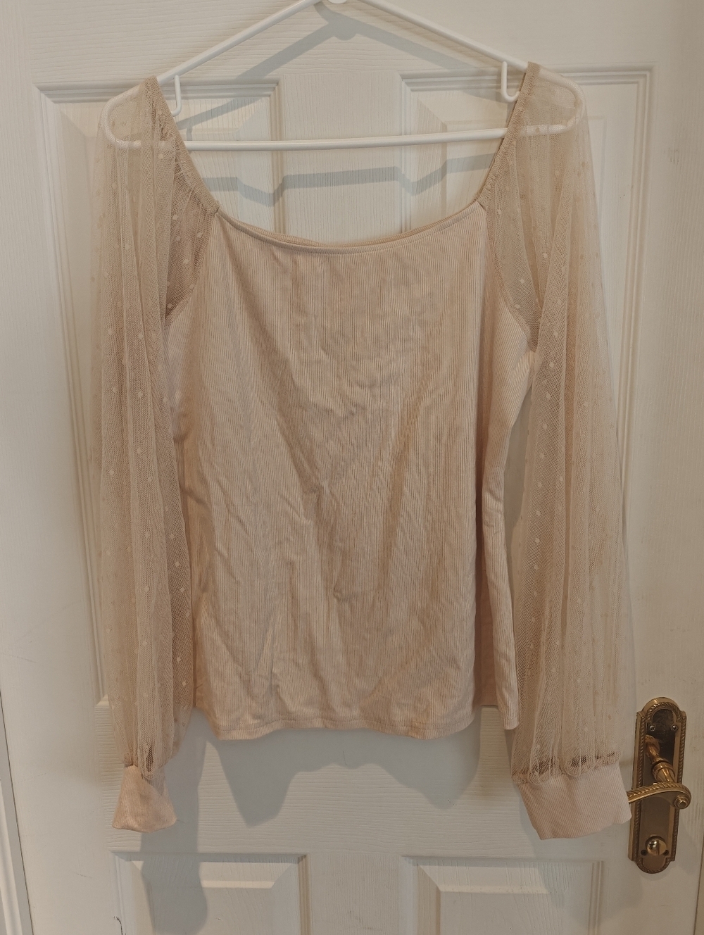 Whimsical Sheer Lingsleeve Women's Top